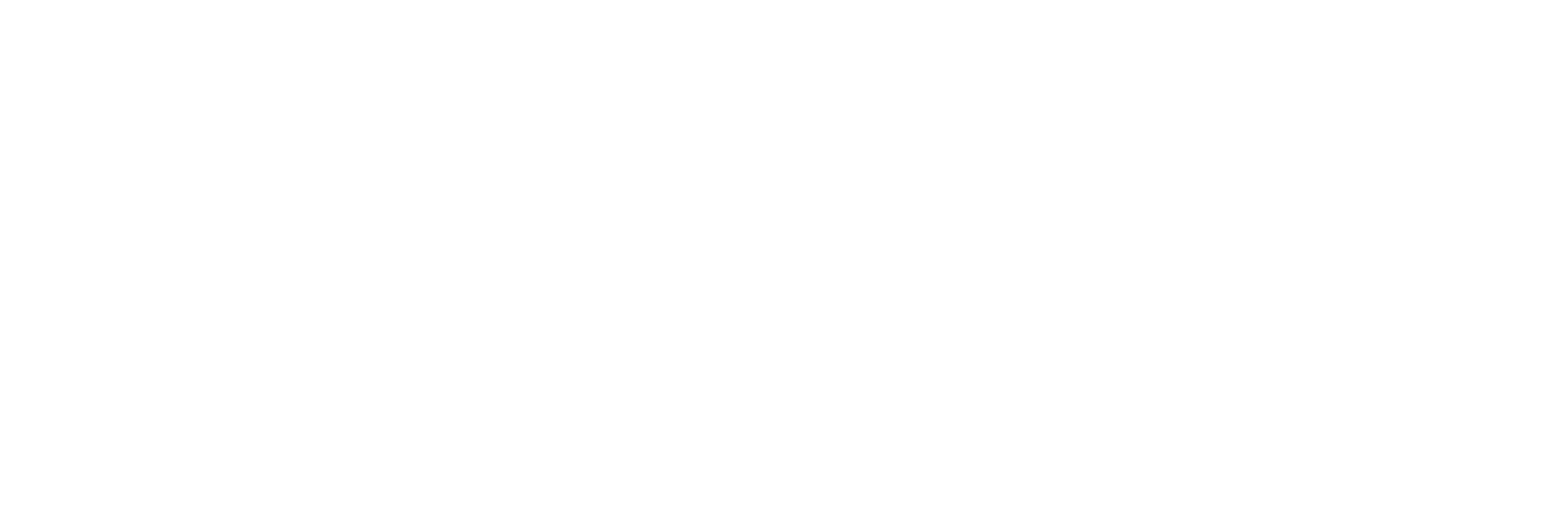 The Koch Foundation